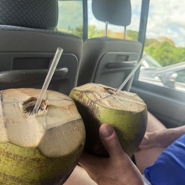 Fresh coconuts in the tour van