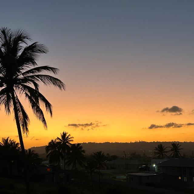 Sunset with a palm tree